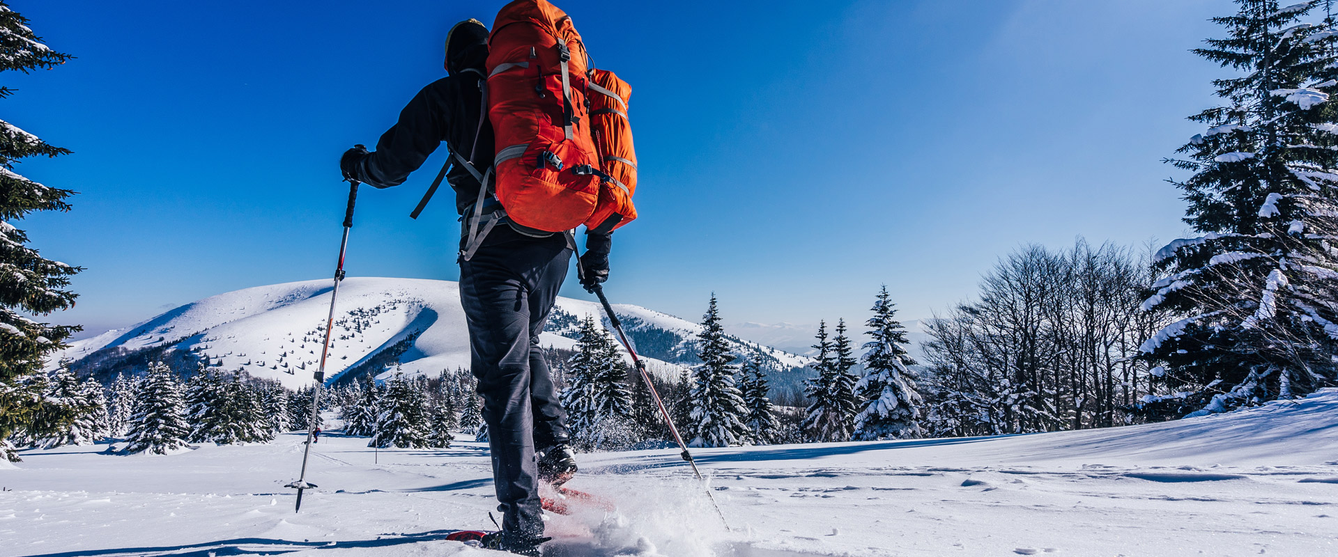 Schneeschuhwandern Winterurlaub Aparthotel Österreich