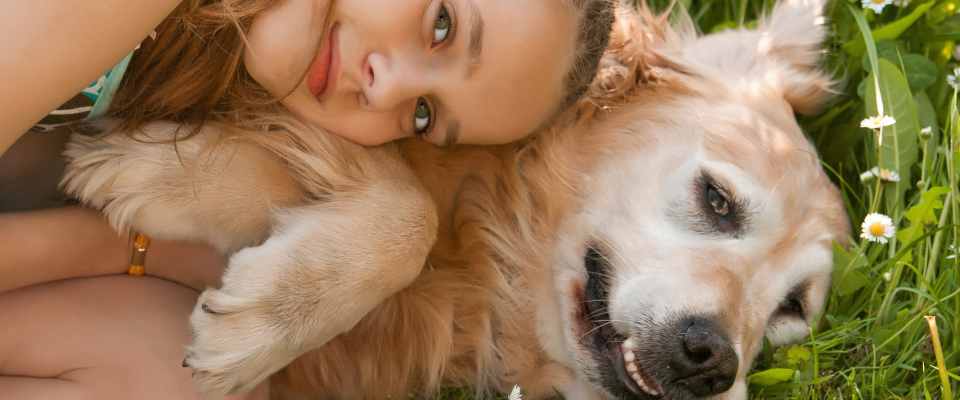 Urlaub Hund Aparthotel Österreich